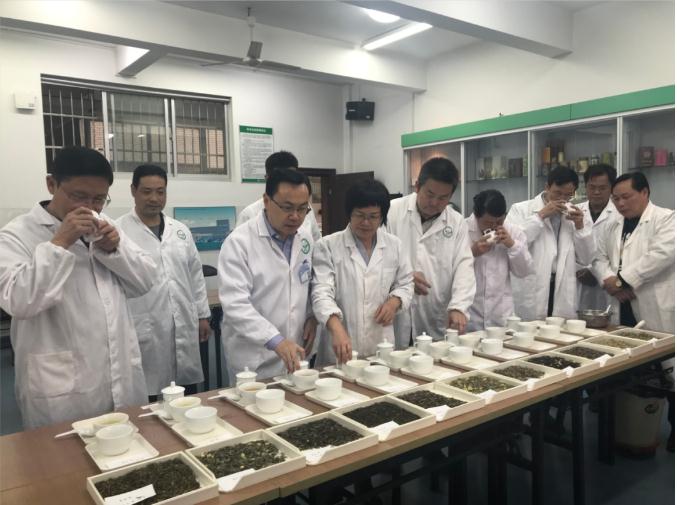 瀟湘茶業(yè)開(kāi)展花茶審評(píng)和座談會(huì)，劉仲華院士等專家共謀花茶產(chǎn)業(yè)發(fā)展