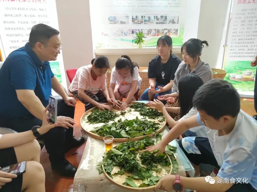 原載人民日?qǐng)?bào)“人民視點(diǎn)”茶葉是怎樣做出來(lái)的？湖南大、中、小學(xué)生體驗(yàn)湖南工夫紅茶制作